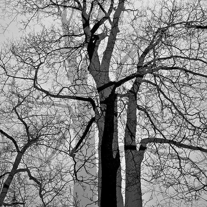 DSC_0826_1 ����