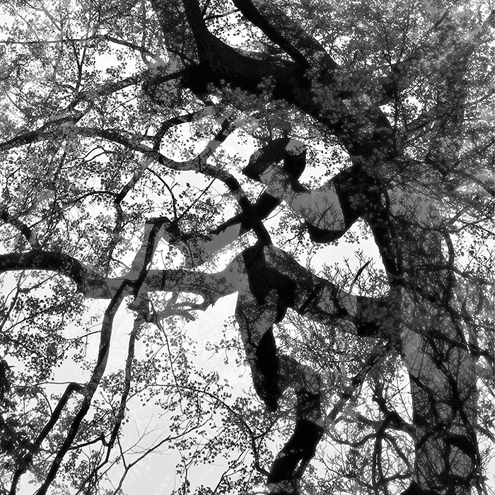 DSC_1947 ����