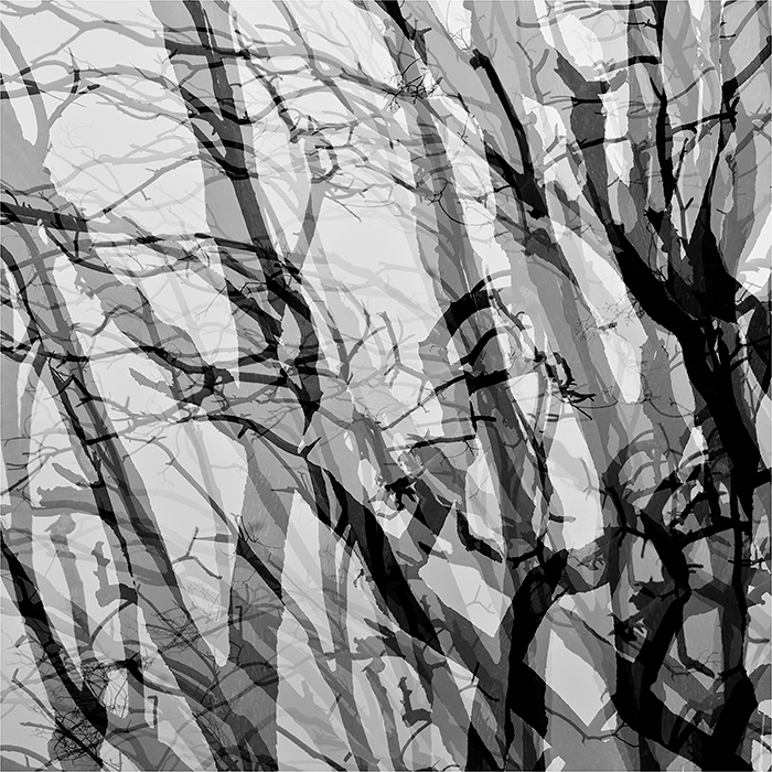 DSC_24043 ����