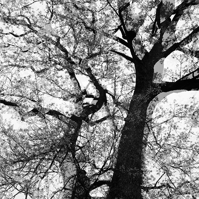 DSC_1951_3���� ����