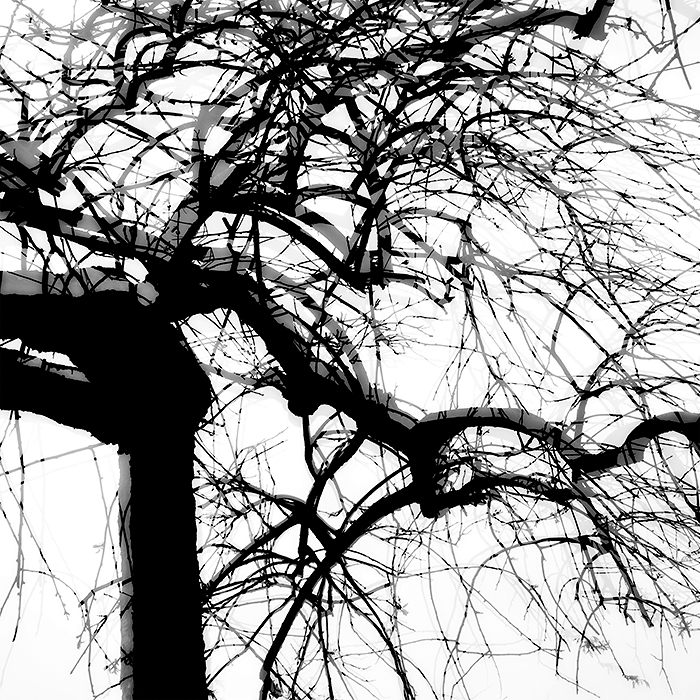 DSC_27861 ����