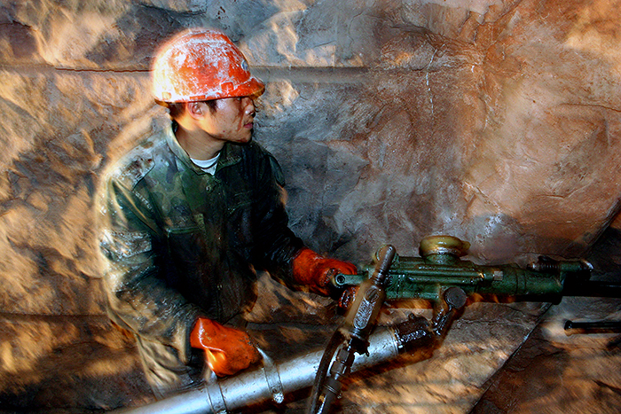 ������������ľ�������