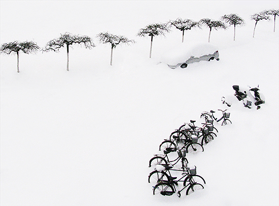 ��ѩ�����衷ţ����