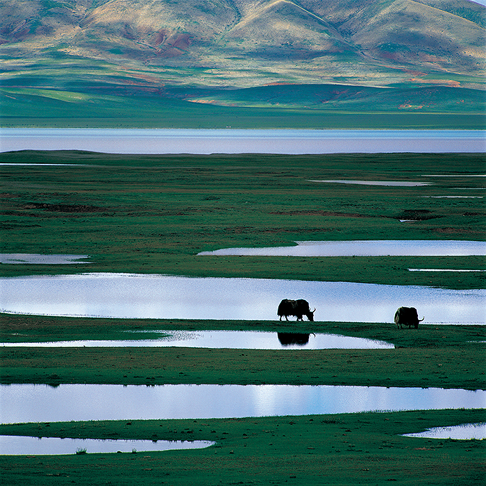 ��ˮ���� ͯ��ǿ