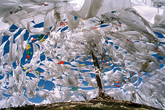 ����ᦷ��衷 ͯ��ǿ