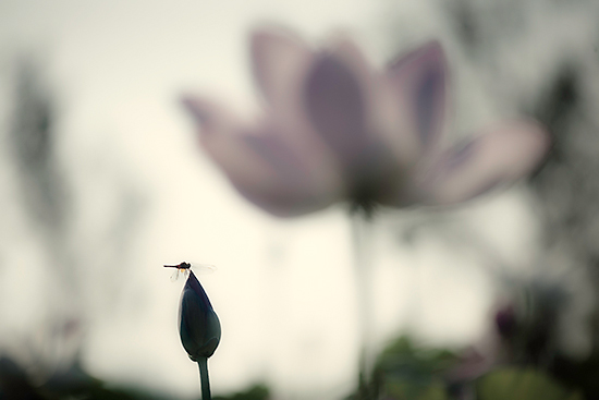 �����ġ�ţ����