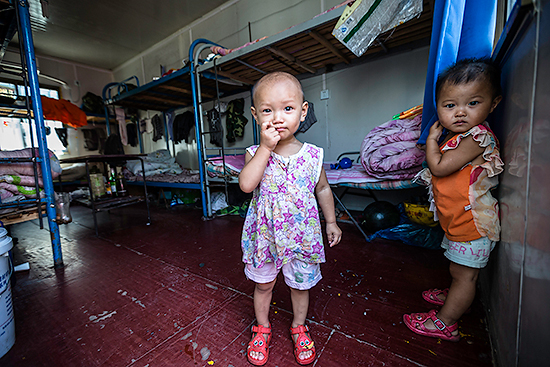 ����С����4 ţ����