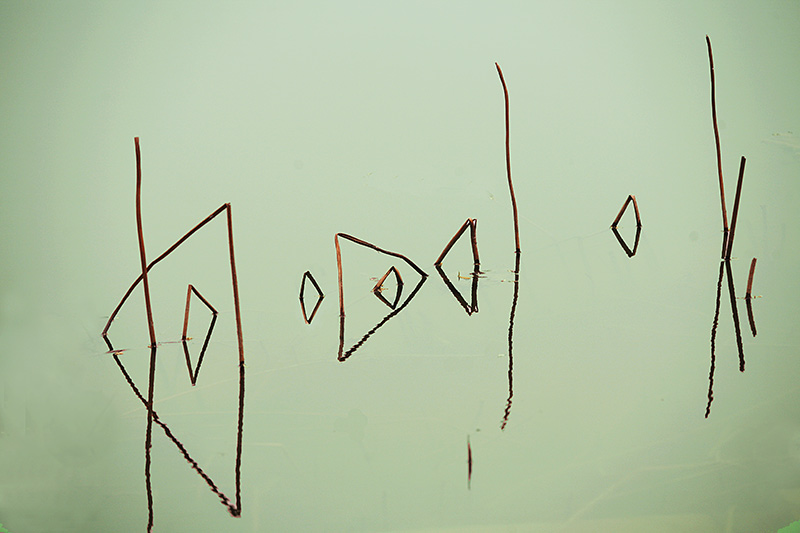 ��Ӱ����֮����ˮͯ����-