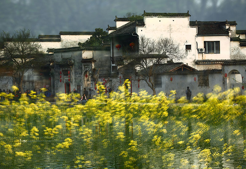 8D4A4010���λû���֮�Ϻ���ɫ����������-�㣩