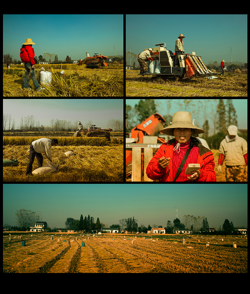 �����յ�ϲ�á�