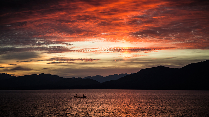 �����۳�����