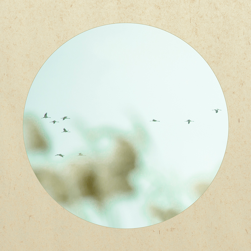 �ű��ԡ��׹�ͼ��