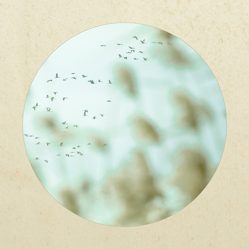 �ű��ԡ��׹�ͼ��