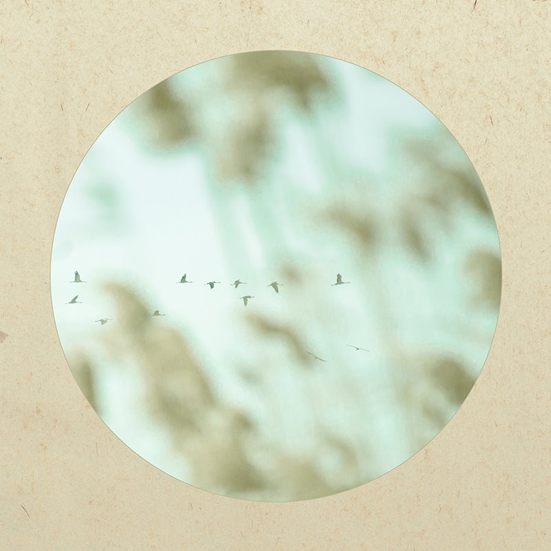 �ű��ԡ��׹�ͼ��