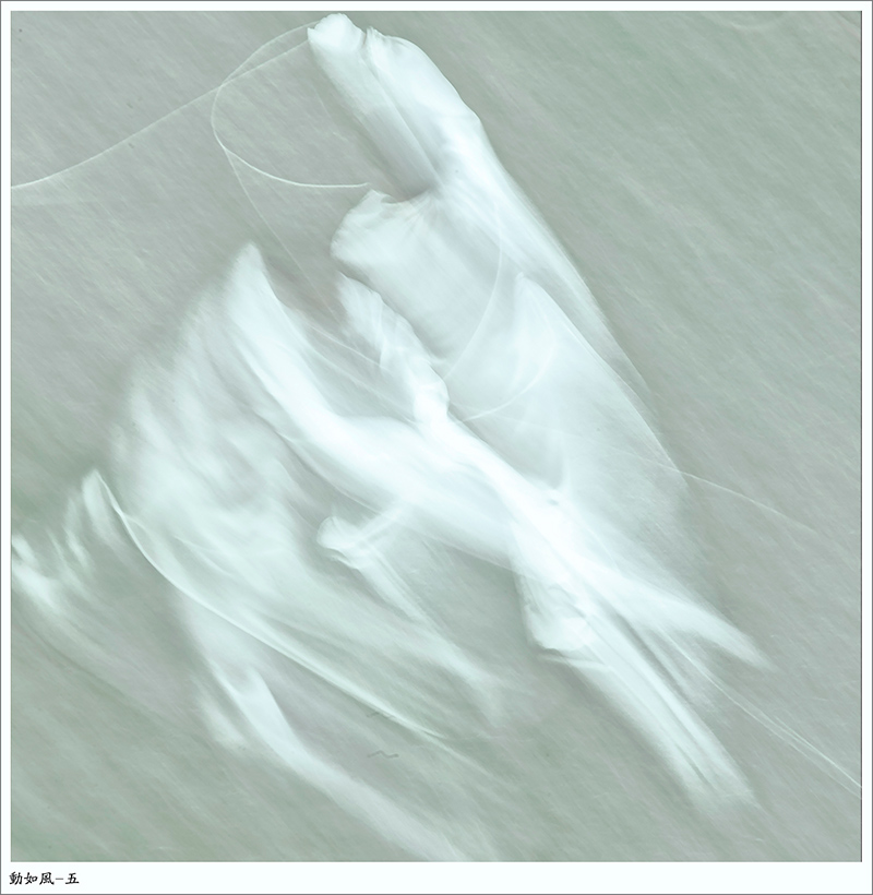 �ű���-�����