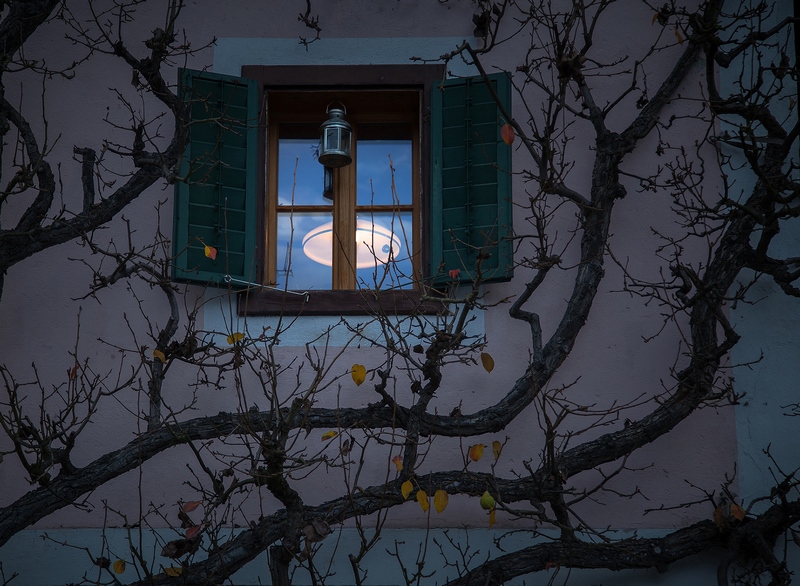 ���ҵĵƹ⡷ ����֥ ��