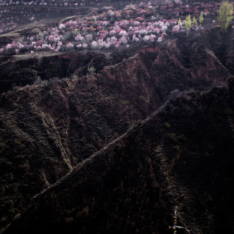 �������֡����ĺ� ��