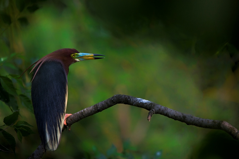 �����ء������� �� �ٻ񰲻�ʡ��ʮ�˽���Ӱ����չ�����㽱