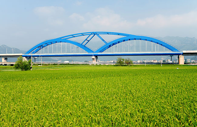亚洲第一的雁荡山特大桥叠合拱获全国优秀焊接工程和中国钢结构金奖
