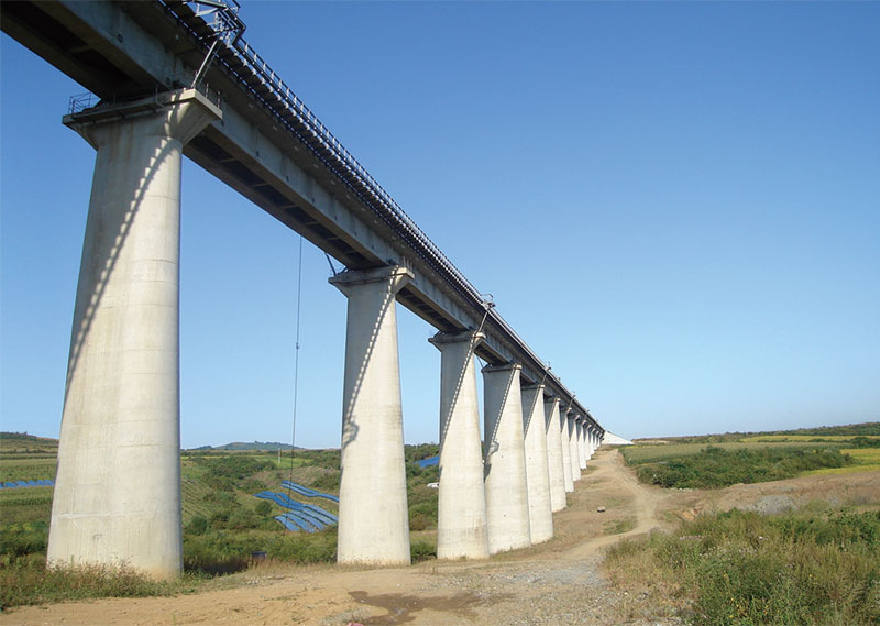 南道村特大桥工程