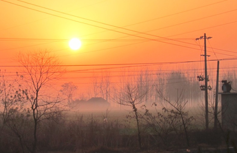 ������峿 ��  �׹��� ��