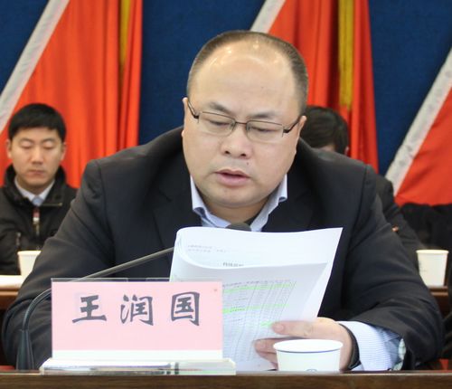 公司副总经理王润国做了关于提案审理情况的报告